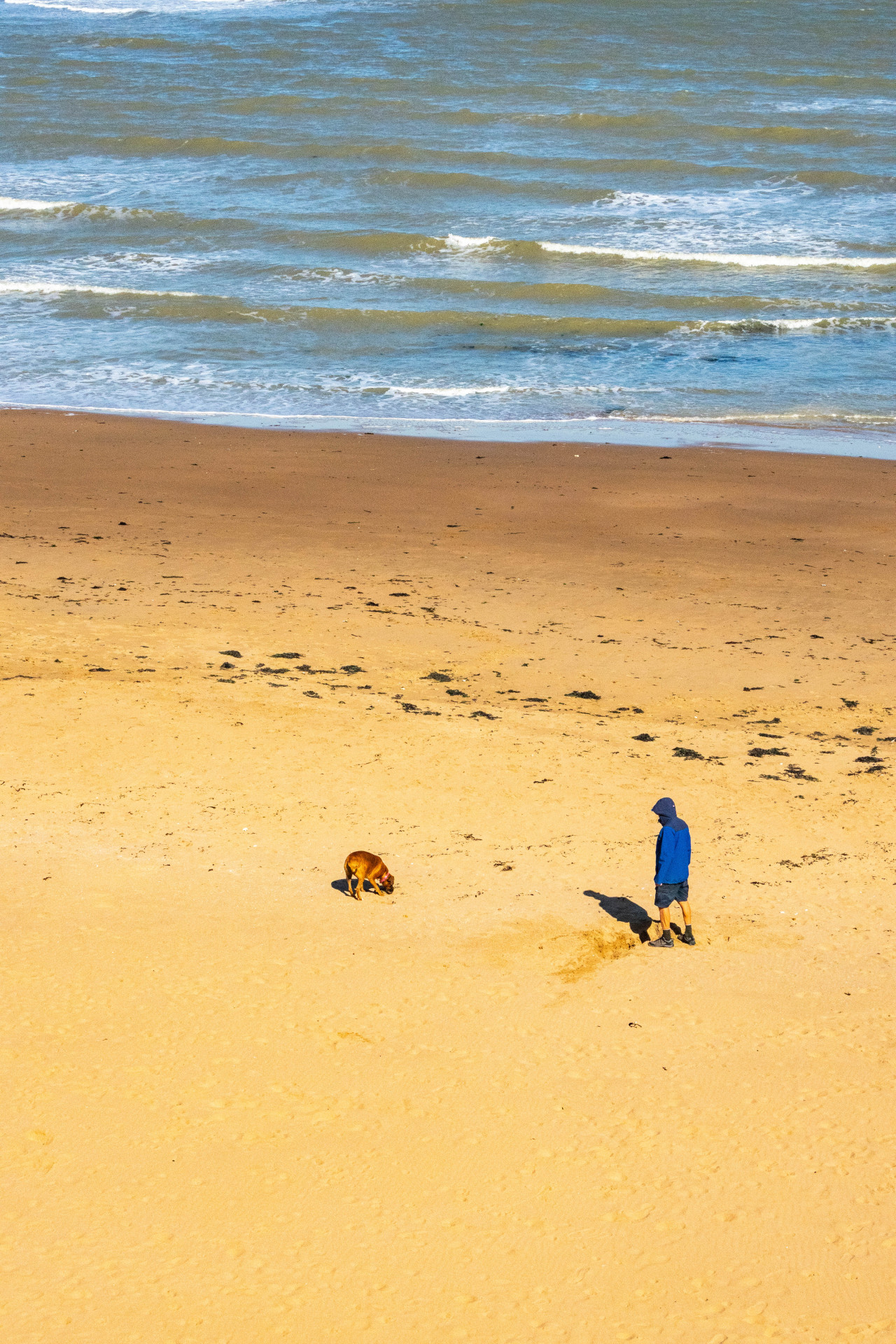 East Kent Beaches